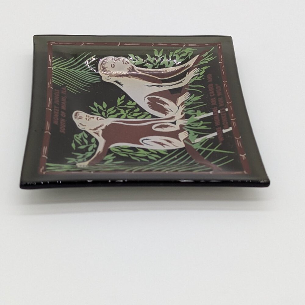 Vintage Monkey Jungle Glass Souvenir Dish Miami Florida Green Brown Chimp Zoo - Picture 5 of 6